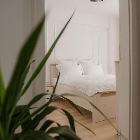 Modern Apartment In Timişoara Eksteriør billede