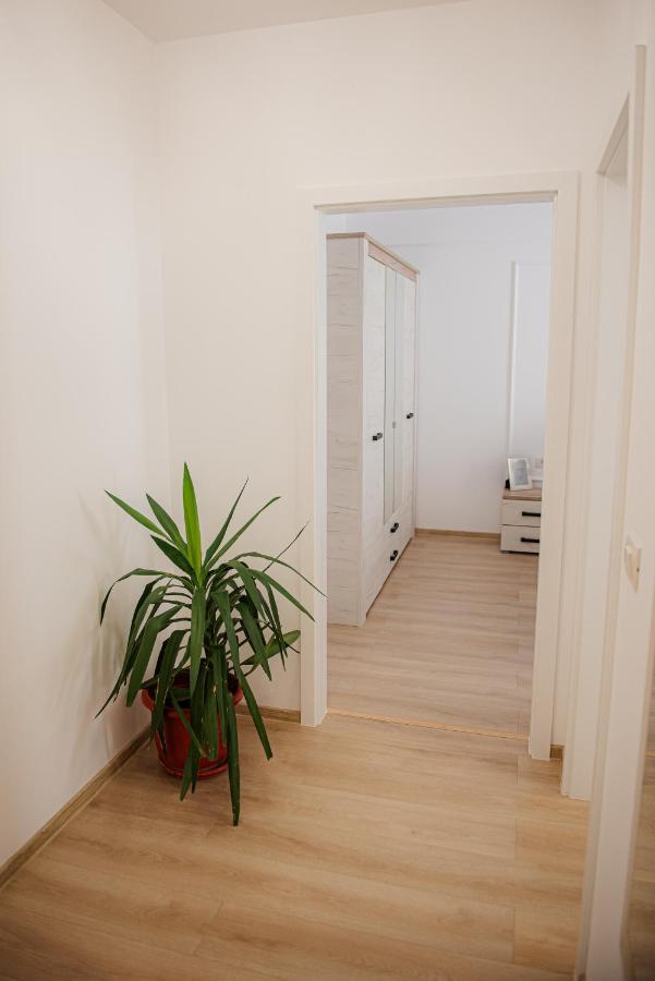 Modern Apartment In Timişoara Eksteriør billede